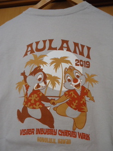 即決　ハワイ　AULANI　ディズニーリゾート＆スパ　チャリティ　イベント2019
