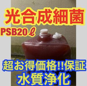 沖ちゃんメダカ【送料無料】濃縮　光合成細菌PSB バクテリア　メダカ　めだか　金魚　グッピー　ミジンコ　稚魚　針子　20Lバロンボックス