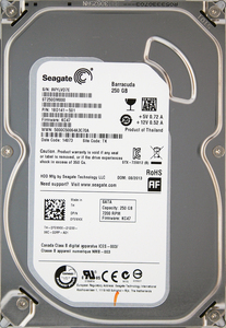 Seagate ST250DM000-1BD141-501 KC47 DP/N 0YVMKX 3.5インチ SATA600 250GB 791回 21882時間