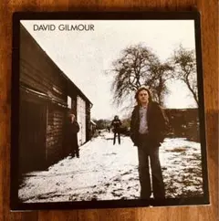 【レアなUS盤】デヴィッド・ギルモア ／ DAVID GILMOUR（アナログ）