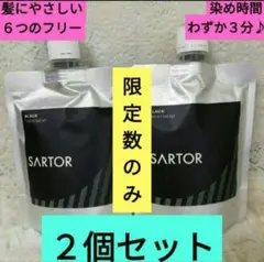 ≪SARTOR≫　定価６３８０円の品　白髪染め ブラックカラートリートメント２個