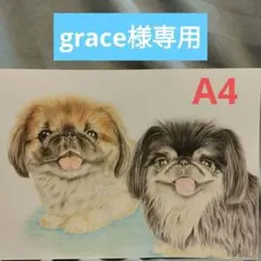 grace様専用です