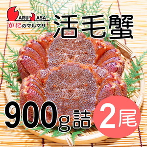 【かにのマルマサ】北海道産 活毛ガニ900g詰2尾セット