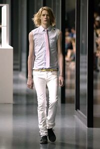 20％OFF( 29 ) Dior homme ホワイト クラッシュ スキニー デニム パンツ 2005 ディオールオム エディスリマン ジーンズ 44 28 AIR JORDAN 9