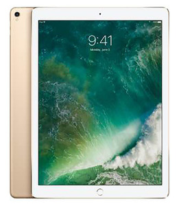 iPadPro 10.5インチ 第1世代[512GB] セルラー docomo ゴールド…