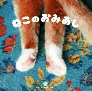 写真集　ねこのおみあし／パイインターナショナル