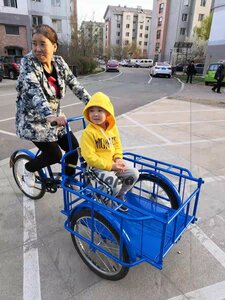 耐荷重 折りたたみ式三輪自転車 高齢の三輪車 最大負荷150kg 快適な自転車 貨物バスケット 大容量 後カゴ付 大人用 三輪車 Y127