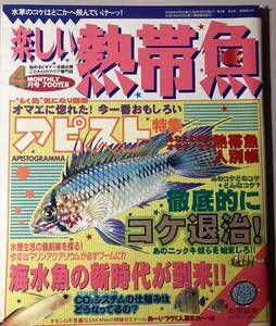 楽しい熱帯魚　1996年　４月　№14　アピスト特集　コケ退治