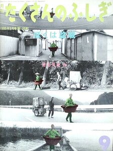 『たくさんのふしぎ』1995年9月号(126号) 「ぼくは盆栽」沼田元気