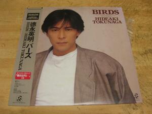 1080【LPレコード】徳永英明／BIRDS