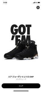 NIKE AIR JORDAN 6 RETRO SE DMP DEFINING MOMENTS US8.5/26.5cm 2020/4/22発売 SNKRS購入 国内正規 新品 黒タグ付 ナイキ エアジョーダン