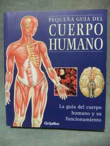 洋書★Pequena Guia Del Cuerpo Humano （人体への小さなガイド）(スペイン語) ★Equipo Editorial