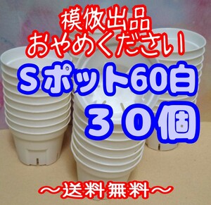 ◆送料無料◆Sポット60 白 30個 スリット鉢 プラ鉢 2号 6cm プレステラ 丸型 多肉植物