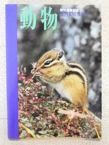 ■本◇旺文社☆野外観察図鑑3 動物【編集/新井政義】■