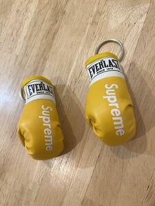 EVERLAST エバーラスト　モデル　ボクシング　ミニチュアグローブ