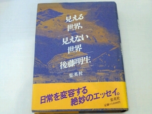 見える世界、見えない世界■後藤明生　集英社