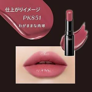 Visee ヴィセ ネンマクフェイク ルージュ 口紅 PK851 わがままな肉球 モーヴピンク 粘膜リップ 粘膜カラー