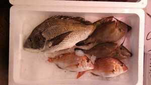 （魚）青森産混じり魚4.0kg2980円即決