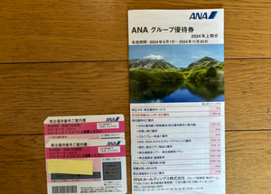 最新版 ANA 株主優待券 2枚セット 送料無料