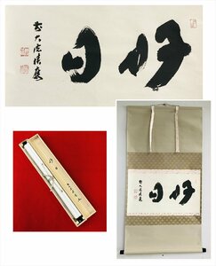 【千寿】大徳寺派 宝林寺 福本積應 好日 横物 紙本 d334◆箱/茶道具/古美術/時代品/掛軸/100017682