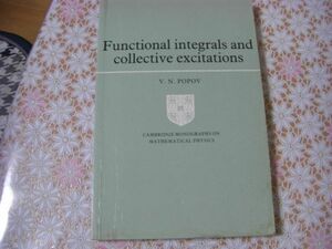 物理洋書 Functional integrals and collective excitations 関数積分と集団励起 V.N. Popov ポポフ A47