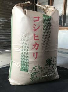 うっま〜新潟産☆コシヒカリ令和5年 25kg