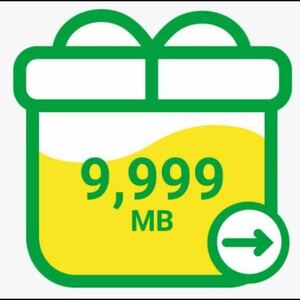 【迅速対応】mineo パケットギフト 約10GB(9999MB)　　（128）