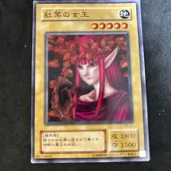 遊戯王　紅葉の女王　地　デュエルモンスターズ　KONAMI