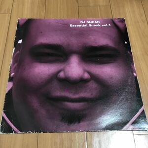 DJ Sneak / Essential Sneak Vol.1 - Robsoul Recordings