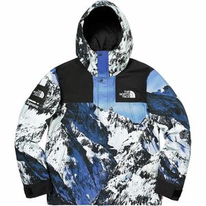 国内正規 【新品 雪山S Supreme The North Face Mountain Parka】 baltoro baltro nuptse jacket gore tex arc logo bleached denim print