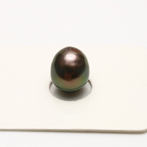 タヒチ黒蝶真珠パールルース　11×9mm　グリーンカラー