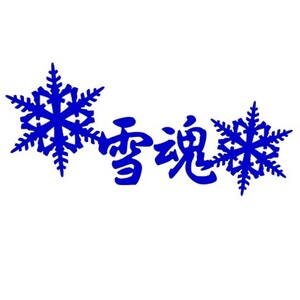 ★千円以上送料0★(20cm) 【雪魂】スノーボード・スノボ・カー・車用にも、ステッカーDC3