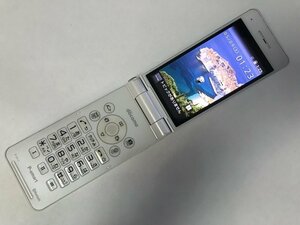 GK732 docomo P-01J 判定〇 ジャンク