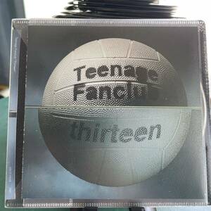 【大出品】TEENAGE FANCLUB - THIRTEEN ティーンエイジファンクラブ