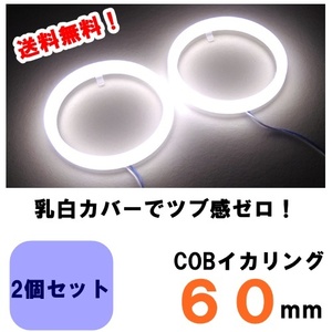 COB　イカリング　6０ｍｍ　２個セット　白/ホワイト　乳白カバー　送料無料