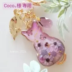 Coco。様 専用ページ