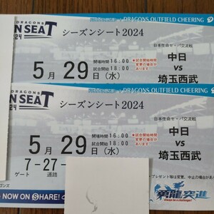 ★通路側★5/29(水) 中日vs埼玉西武 外野応援ライトペアチケット
