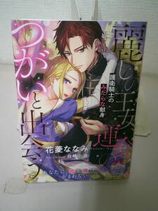 　●○　麗しの王女、運命のつがいと出会う　護衛騎士のみだらな献身 花菱ななみ　○●