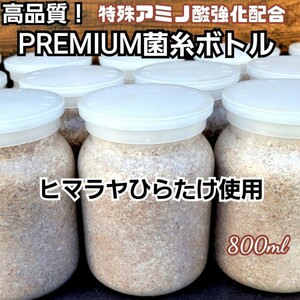 極上！ヒマラヤひらたけプレミアム菌糸瓶【800ml 】トレハロース・ローヤルゼリー・キトサン強化配合！ニジイロクワガタ、オオクワにお薦め