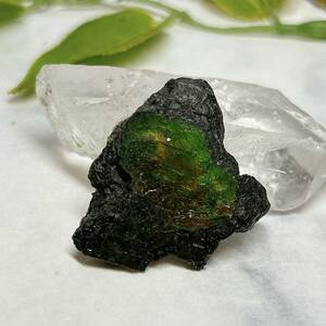 【E8718】 アンモライト アンモナイト 化石 カナダ産 虹色 レインボー パワーストーン
