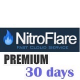 【評価数3000以上の実績】NitroFlare プレミアム 30日間【安心サポート】