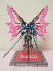 RG 1/144 デスティニーガンダムSpecⅡ塗装 光の翼付き 完成品