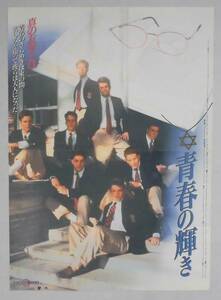 映画ポスター/プレスシート「青春の輝き (HOOL TIES)」　〒込