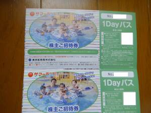 東京サマーランド 1DAYパス 2024/10/14まで 2枚セット 送料込み