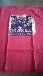 ☆OKAXILE(オカザイル)☆EVOLUTION Tシャツ☆赤☆Ｌサイズ☆