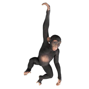 ハンギング ジャングル モンキー ぶら下がるお猿さん彫像 リアルサイズ彫刻/ パンくん動物園（輸入品