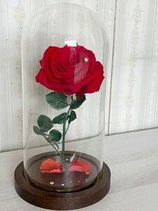 美女と野獣の赤い薔薇風　ブリザードフラワー 花 フラワー お祝い 結婚祝い 卒業祝い サプライズ　ハンドメイド新品・未使用品