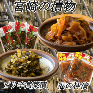 宮崎の漬物 福の神漬 120g×2袋 ピリ辛高菜 150g×3袋 ご飯のお供 おにぎり 炒飯 送料無料