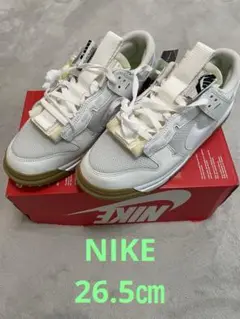 NIKE ダンクジャンボ　26.5センチ