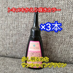 トキメキかえり咲きカラー　サンシャインブラウン　マロン　40ml×3本　白髪染め カラーリング　トリートメント　ヘアケ　毛髪着色料　茶色